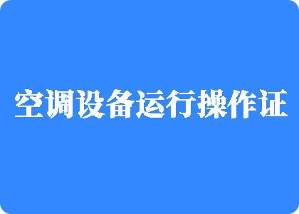 黄色毛片操逼操逼制冷工证